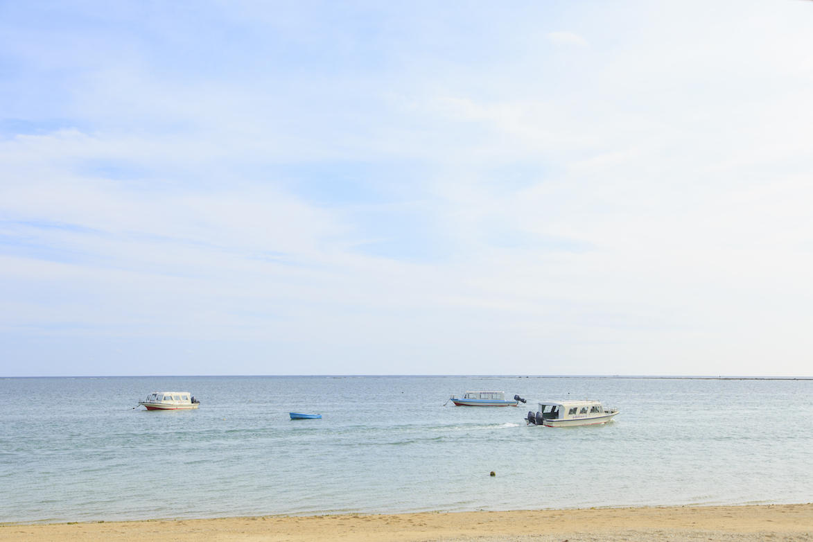 いつかの沖縄 11月の海 いろいろ取材記事 おきなわいちば つくる人と食べる人をつなぐ 暮らしと食のマガジン