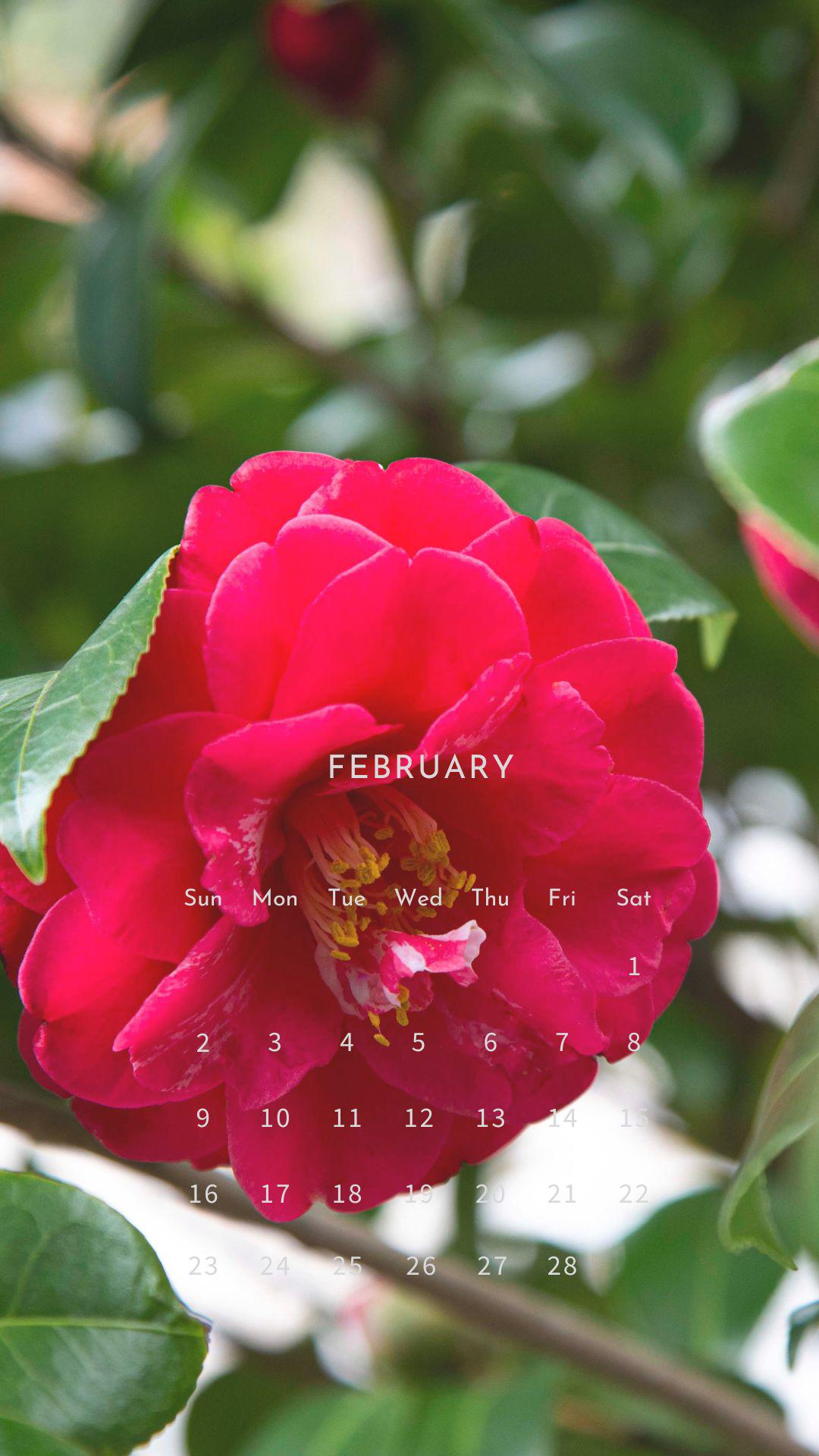 February_calendar_shiraki.jpg