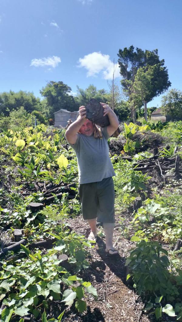 12163_0.jpgのサムネイル画像