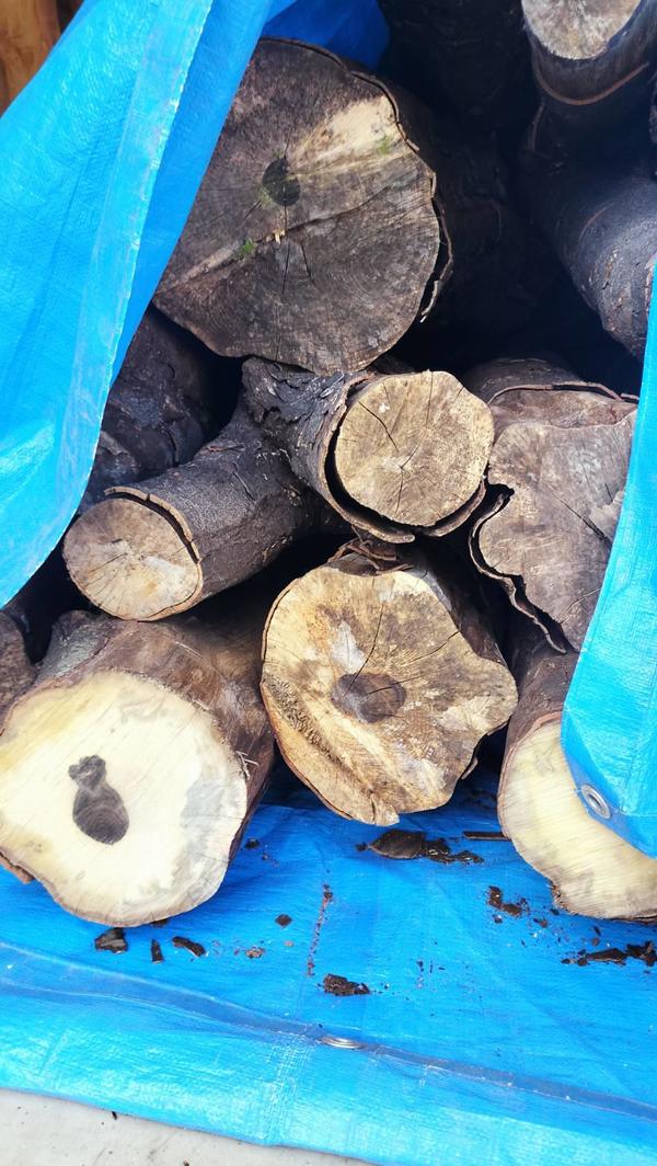 12172_0.jpgのサムネイル画像