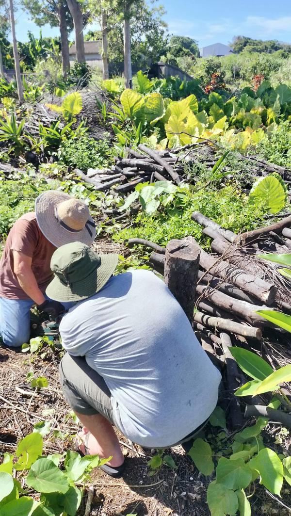 12178_0.jpgのサムネイル画像